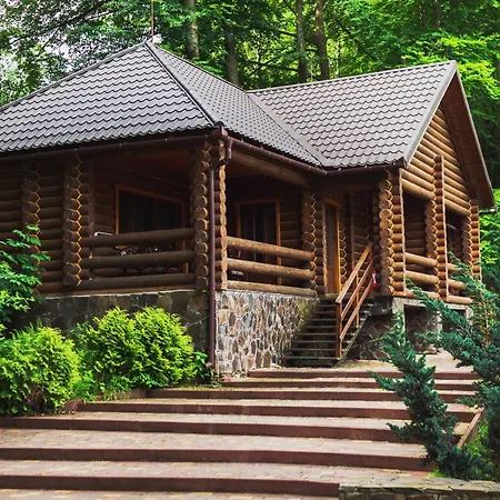 Sribne Dzherelo * Ilnytsya