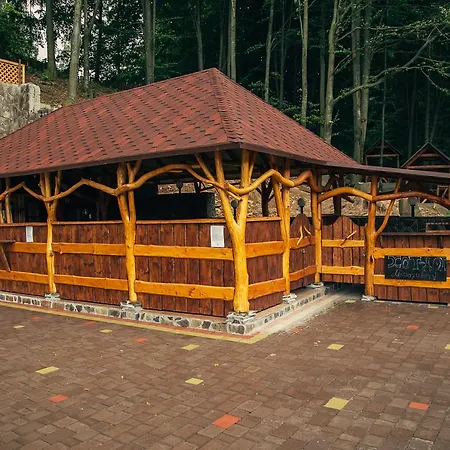 Sribne Dzherelo * Ilnytsya