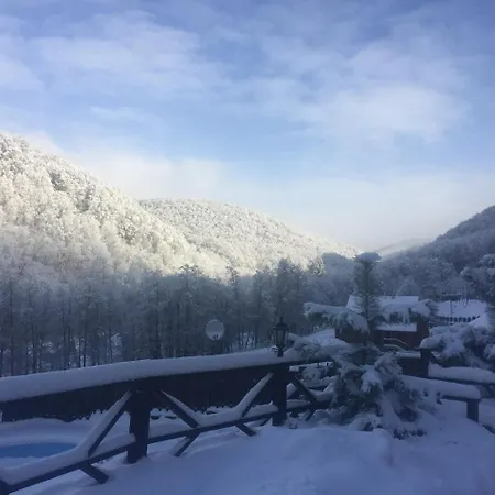 Sribne Dzherelo Ilnytsya