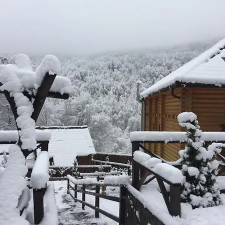 Sribne Dzherelo Mini-hôtel Ilnytsya